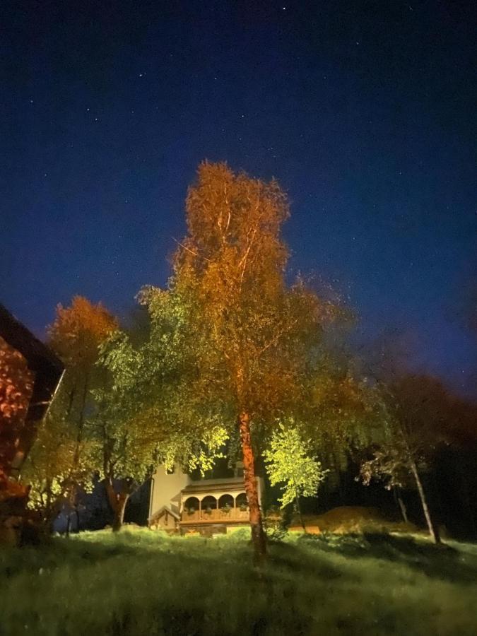 Kuca Za Odmor ,,Balkan” Crni Vrh Exterior foto